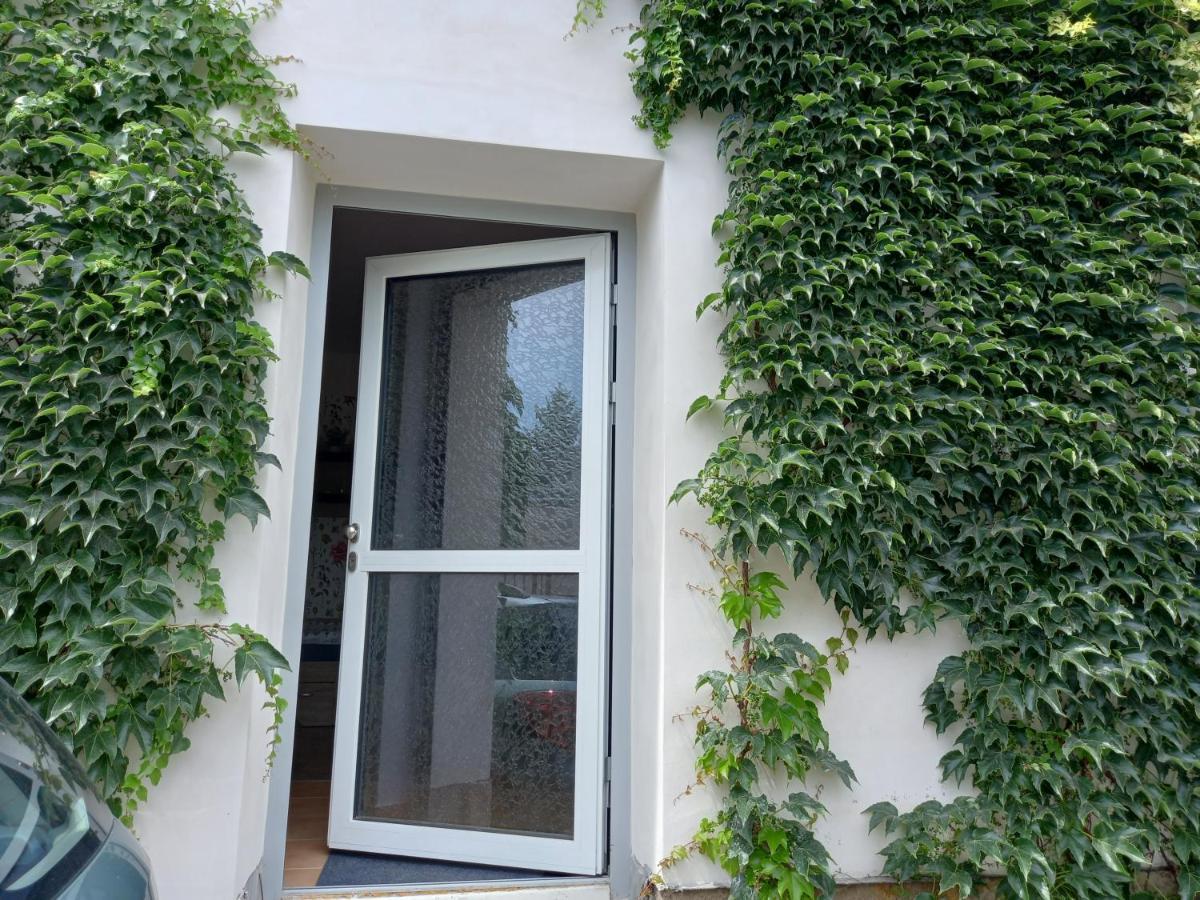 Apartman U Jakuba Dvůr Králové nad Labem المظهر الخارجي الصورة